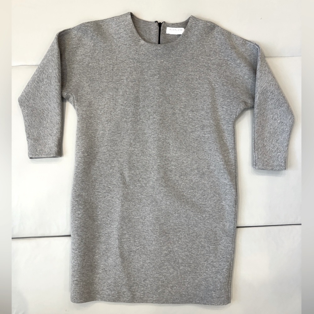 Everlane Gray Dress (Size XS)